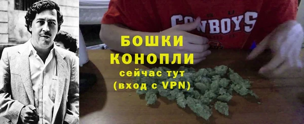 спайс Нея