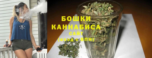 гидра Новодвинск
