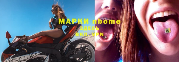 гидра Новодвинск