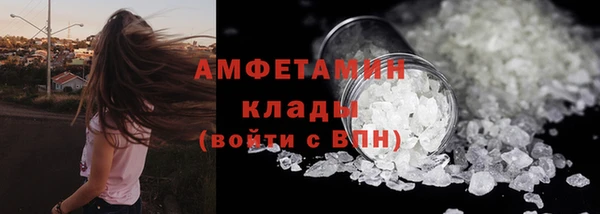 гидра Новодвинск