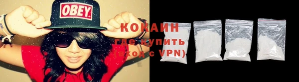 гидра Новодвинск