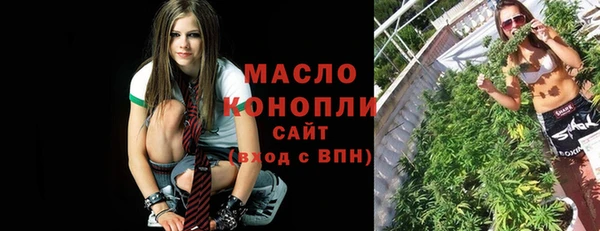 гидра Новодвинск
