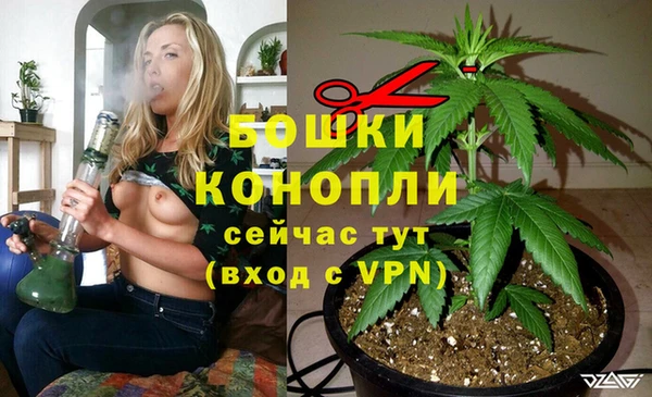 спайс Новозыбков