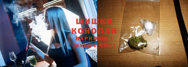 гидра Новодвинск