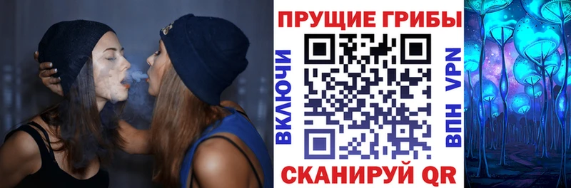 Псилоцибиновые грибы прущие грибы  гидра ссылка  Поворино 